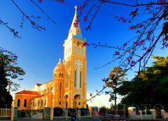 Đà Lạt Thành Phố Ngàn Hoa (4 ngày 3 đêm)