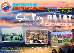 SĂN MÂY ĐÀ LẠT (3 ngày 3 đêm)