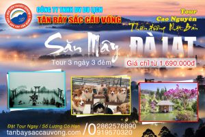 SĂN MÂY ĐÀ LẠT (3 ngày 3 đêm)