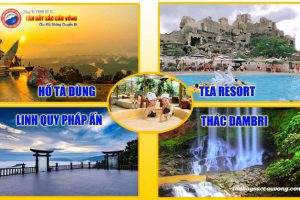 TÀ ĐÙNG - BẢO LỘC - THÁC ĐAMBRI - ĐÔI DÉP TEA RESORT (3 ngày 2 đêm)