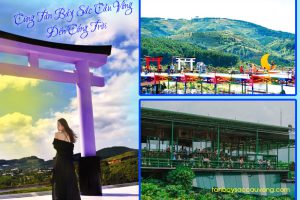 MUA THU VI VU ĐÀ LẠT (3 ngày 3 đêm) - khởi hành thứ 5 hàng tuần - chỉ 1.690.000đ