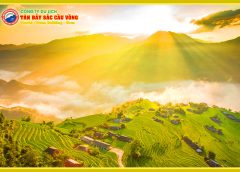 HÀ NỘI - NGHĨA LỘ - TÚ LỆ - MÙ CANG CHẢI (4 ngày 3 đêm) - 3.790.000đ